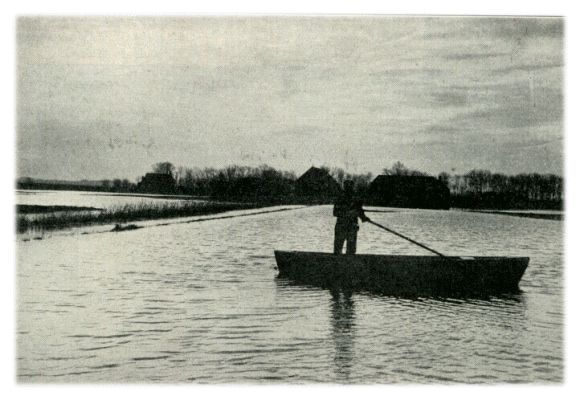 Klik voor de volgende foto