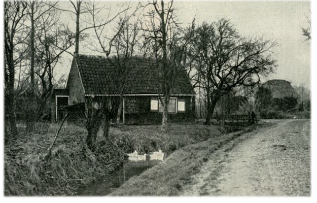 Klik voor de volgende foto