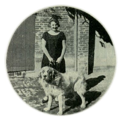 Klik voor de volgende foto