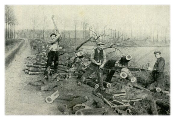 Klik voor de volgende foto