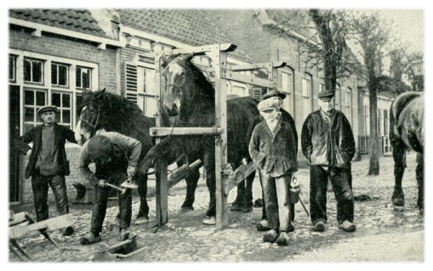 Klik voor de volgende foto