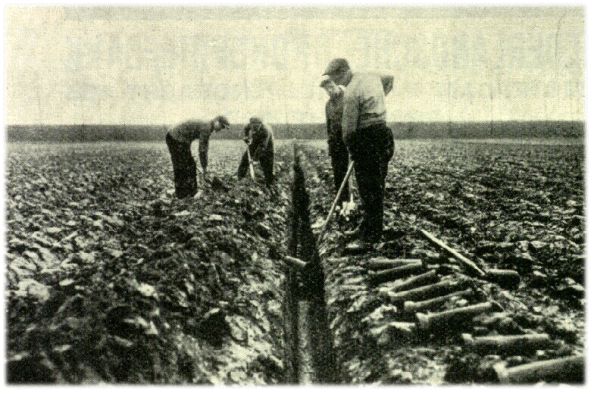 Klik voor de volgende foto