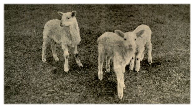 Klik voor de volgende foto