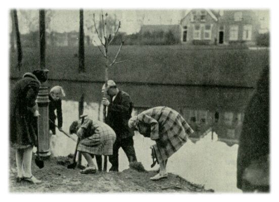 Klik voor de volgende foto
