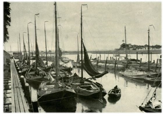 Klik voor de volgende foto