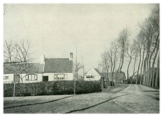Klik voor de volgende foto