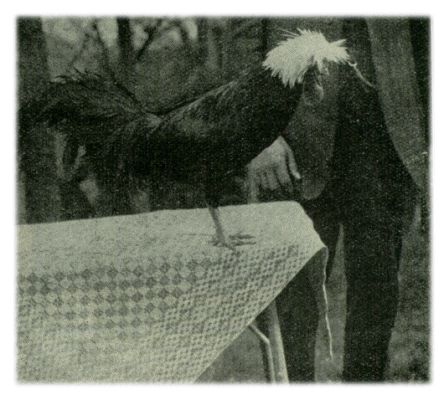Klik voor de volgende foto