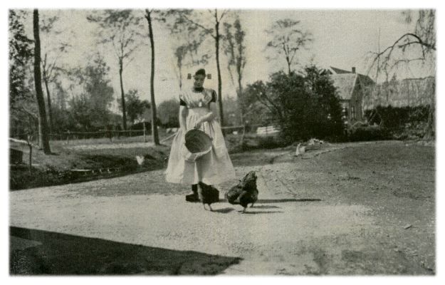 Klik voor de volgende foto