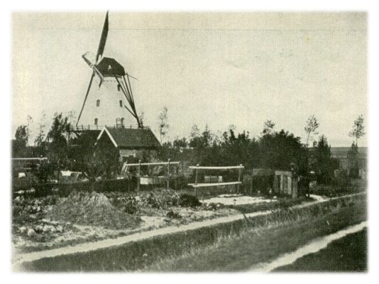 Klik voor de volgende foto