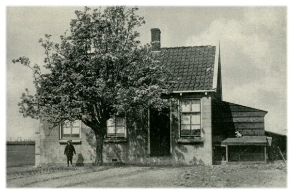 Klik voor de volgende foto