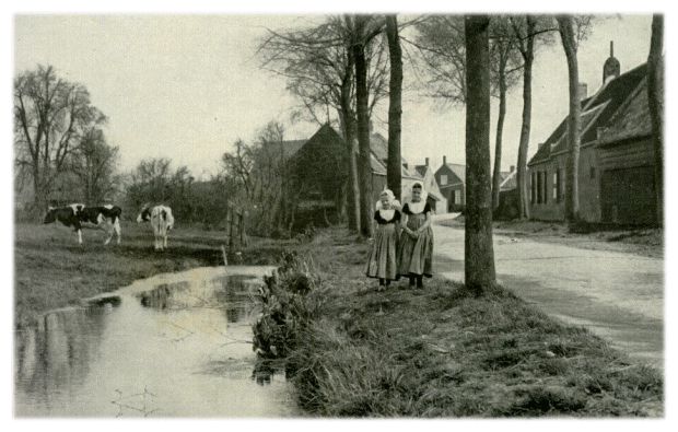 Klik voor de volgende foto