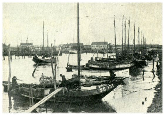 Klik voor de volgende foto