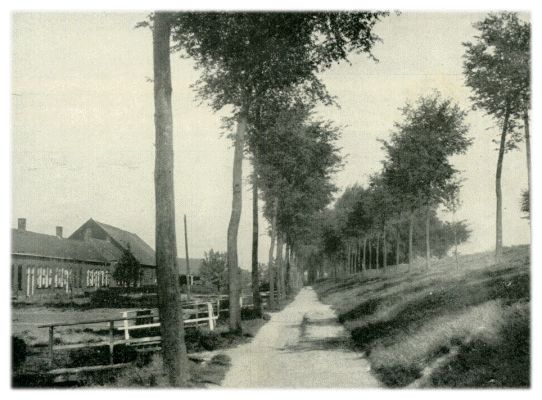 Klik voor de volgende foto
