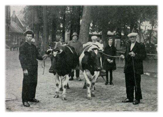 Klik voor de volgende foto