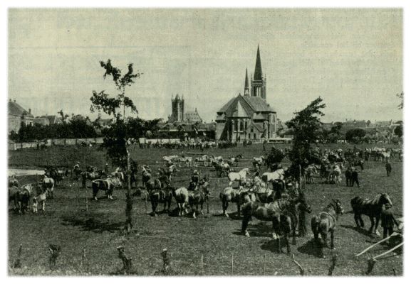 Klik voor de volgende foto