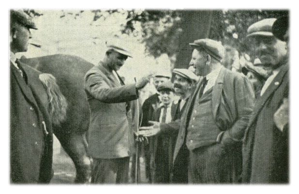 Klik voor de volgende foto
