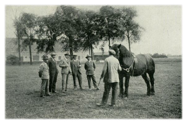 Klik voor de volgende foto