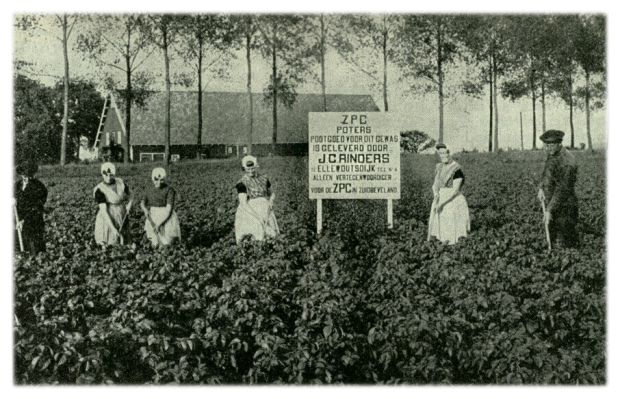 Klik voor de volgende foto