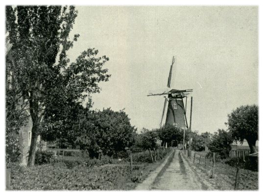 Klik voor de volgende foto