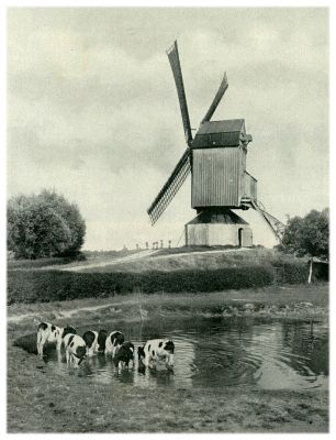 Klik voor de volgende foto