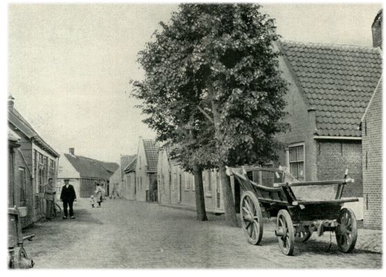 Klik voor de volgende foto