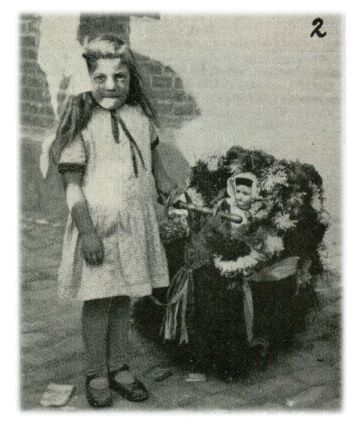 Klik voor de volgende foto