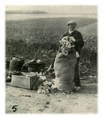 Klik voor de volgende foto