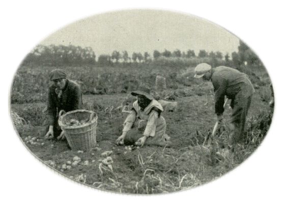 Klik voor de volgende foto