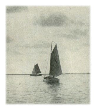 Klik voor de volgende foto