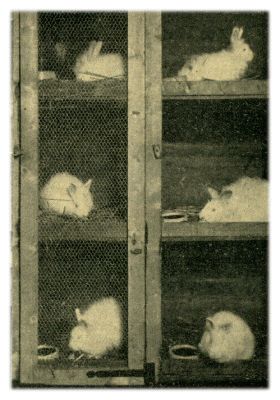 Klik voor de volgende foto