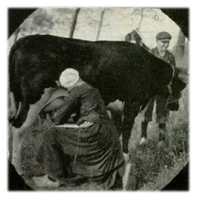 Klik voor de volgende foto