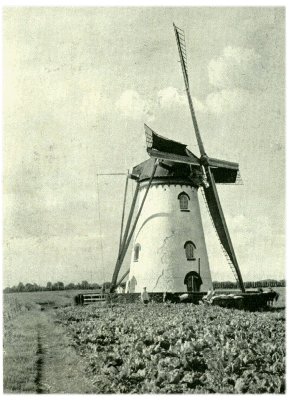 Klik voor de volgende foto