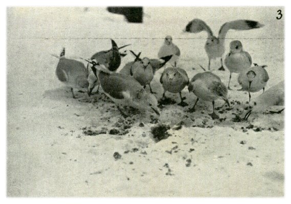 Klik voor de volgende foto