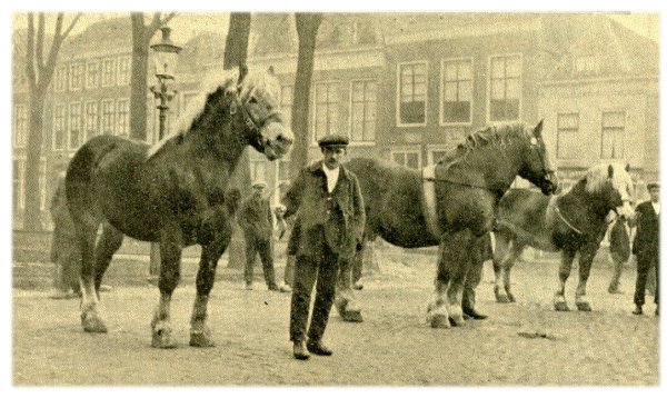 Klik voor de volgende foto