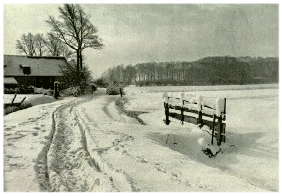 Klik voor de volgende foto