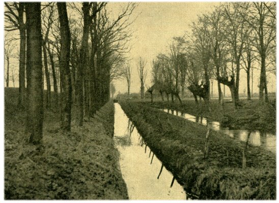 Klik voor de volgende foto