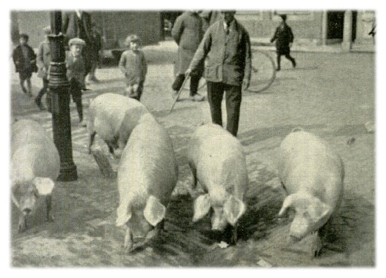 Klik voor de volgende foto
