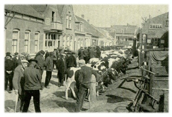 Klik voor de volgende foto