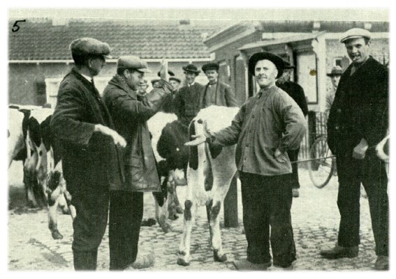 Klik voor de volgende foto