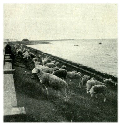 Klik voor de volgende foto