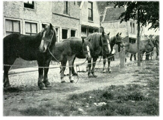 Klik voor de volgende foto