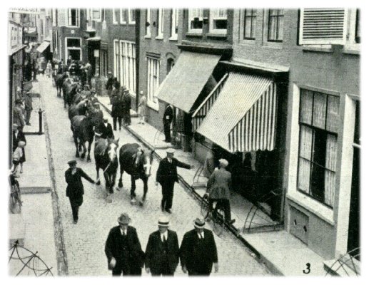 Klik voor de volgende foto
