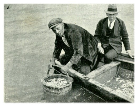 Klik voor de volgende foto