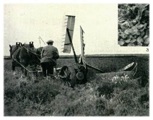 Klik voor de volgende foto