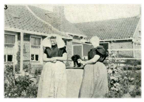 Klik voor de volgende foto