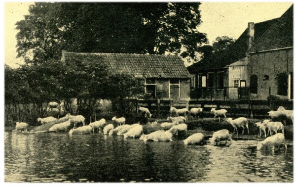 Klik voor de volgende foto