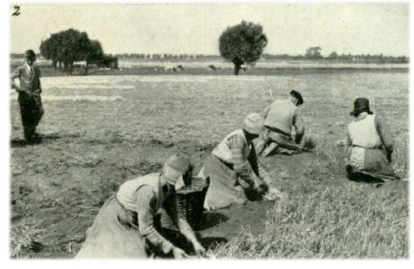 Klik voor de volgende foto
