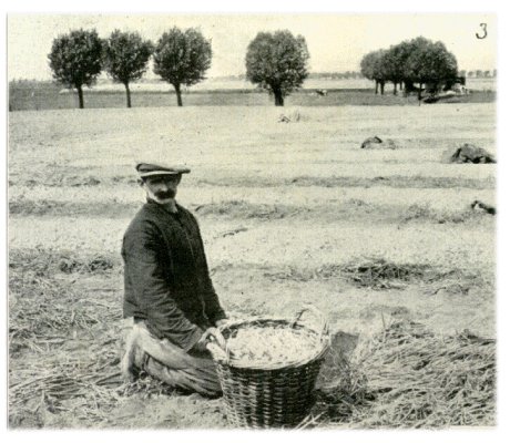Klik voor de volgende foto