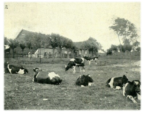 Klik voor de volgende foto
