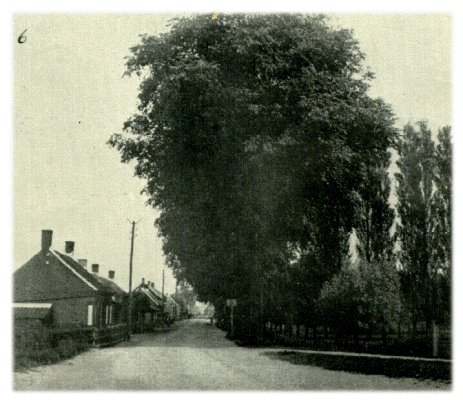 Klik voor de volgende foto